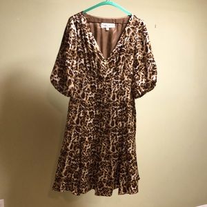 Sara Campbell Animal Print Dress